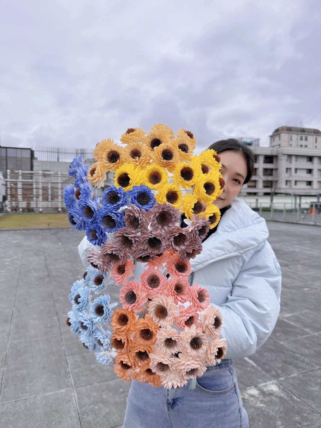 乾燥向日葵索拉