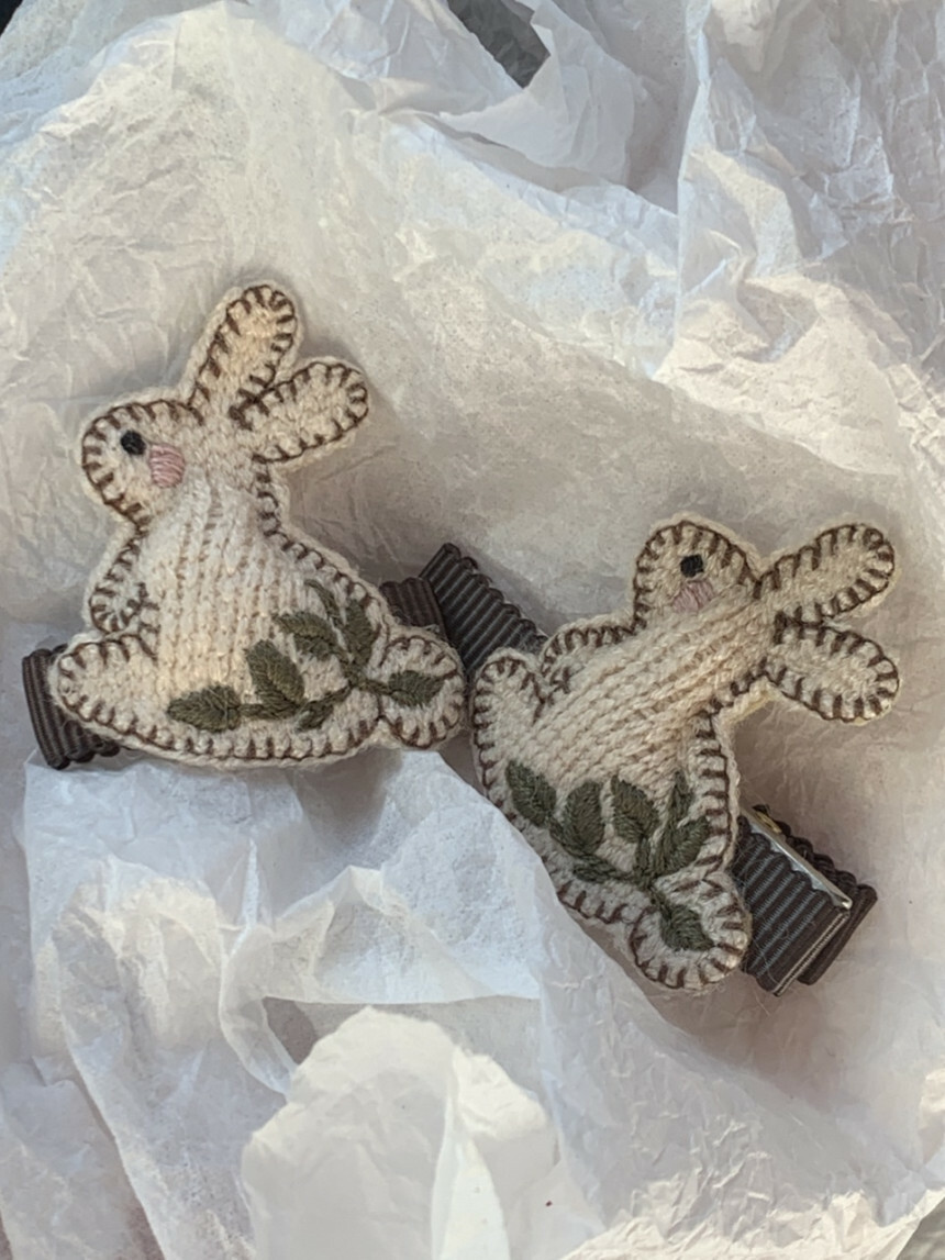 花園裡的兔子日常