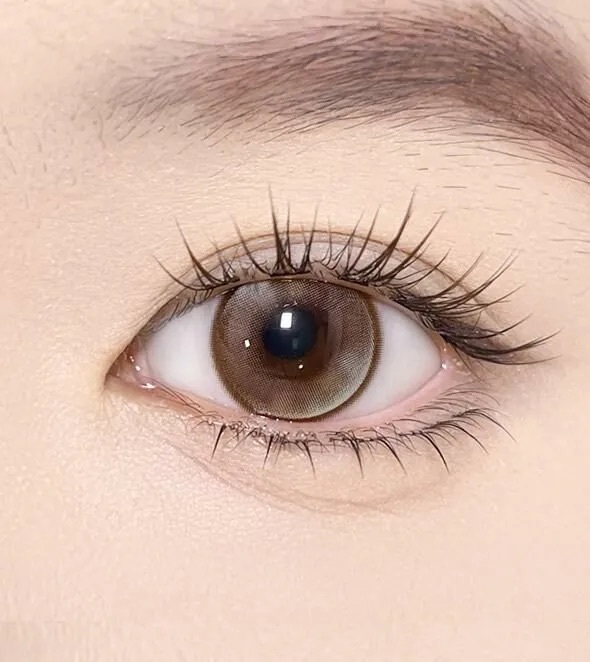 [月拋] OLOLA MEOW Vivid Edtion 1 Month Savannah Brown｜月拋彩妝隱形眼鏡｜每盒2片