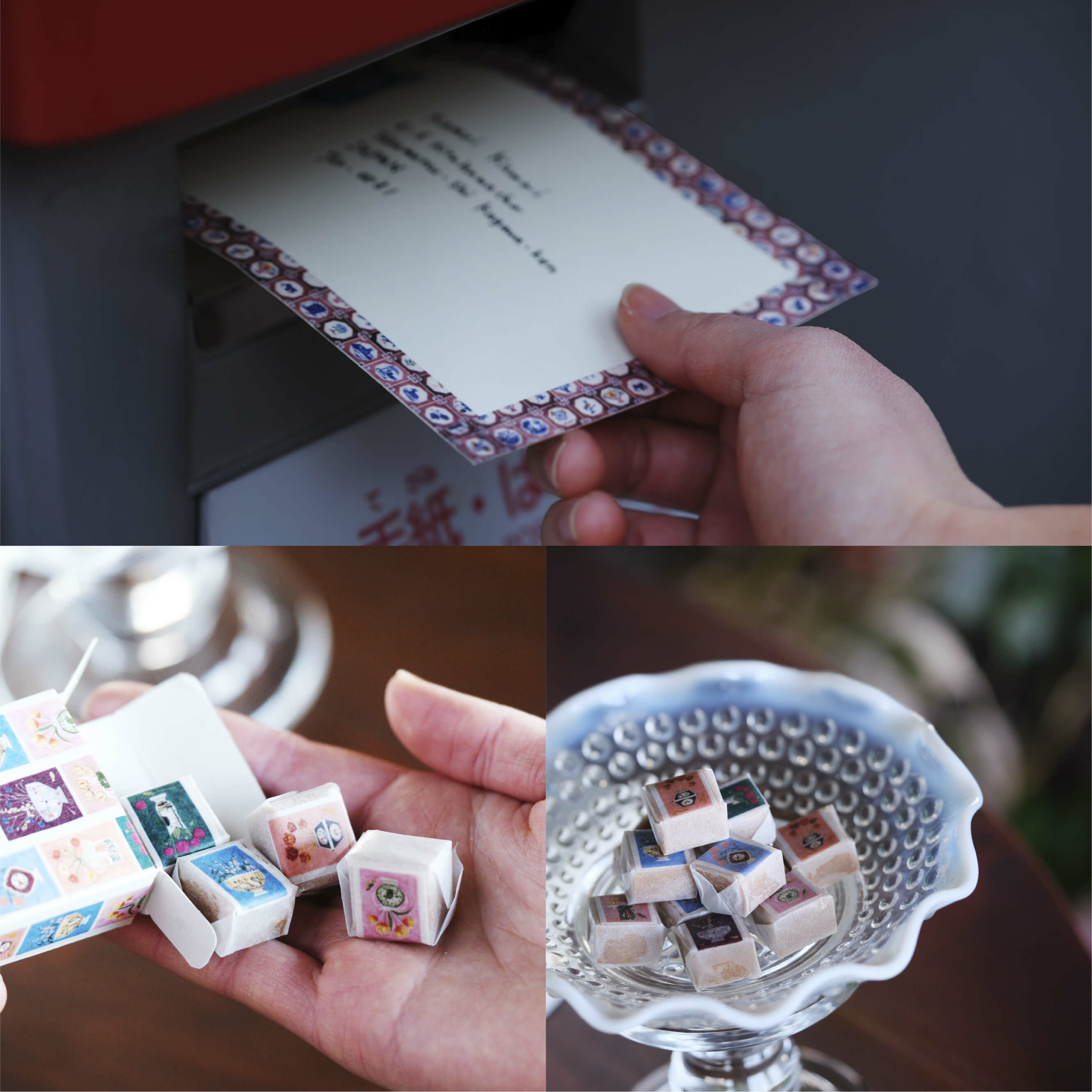 日本mt x Polly Fern 和紙膠帶 共三款