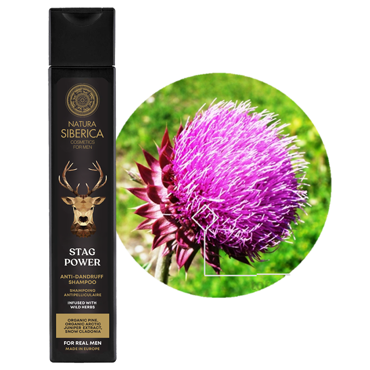 芫萃西伯利亞【能量之鹿】男性清爽抗屑洗髮精250ml - NATURA SIBERICA MEN