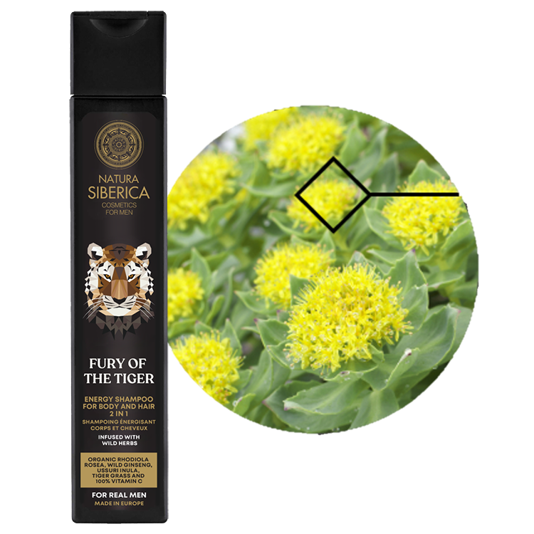 芫萃西伯利亞【烈焰之虎】男性活力淨爽洗沐二合一250ml - NATURA SIBERICA MEN