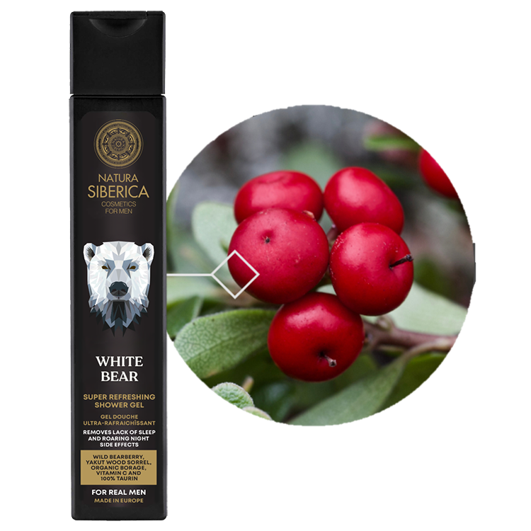 芫萃西伯利亞【極地之熊】男性極致清爽沐浴露250ml - NATURA SIBERICA MEN