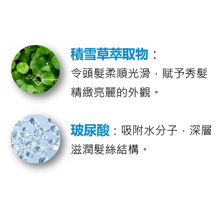 悠活雅【水潤滋養】洗髮精400ml - Ecoforia