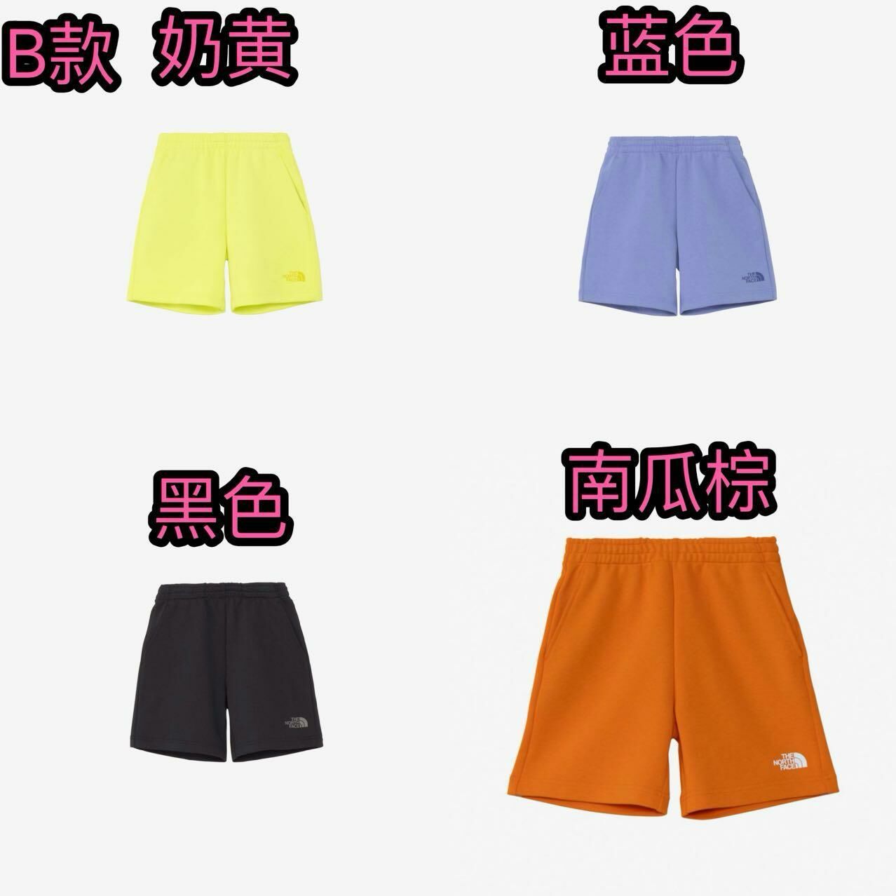 廠單 TNF 25夏款系列 - B款線圈短褲