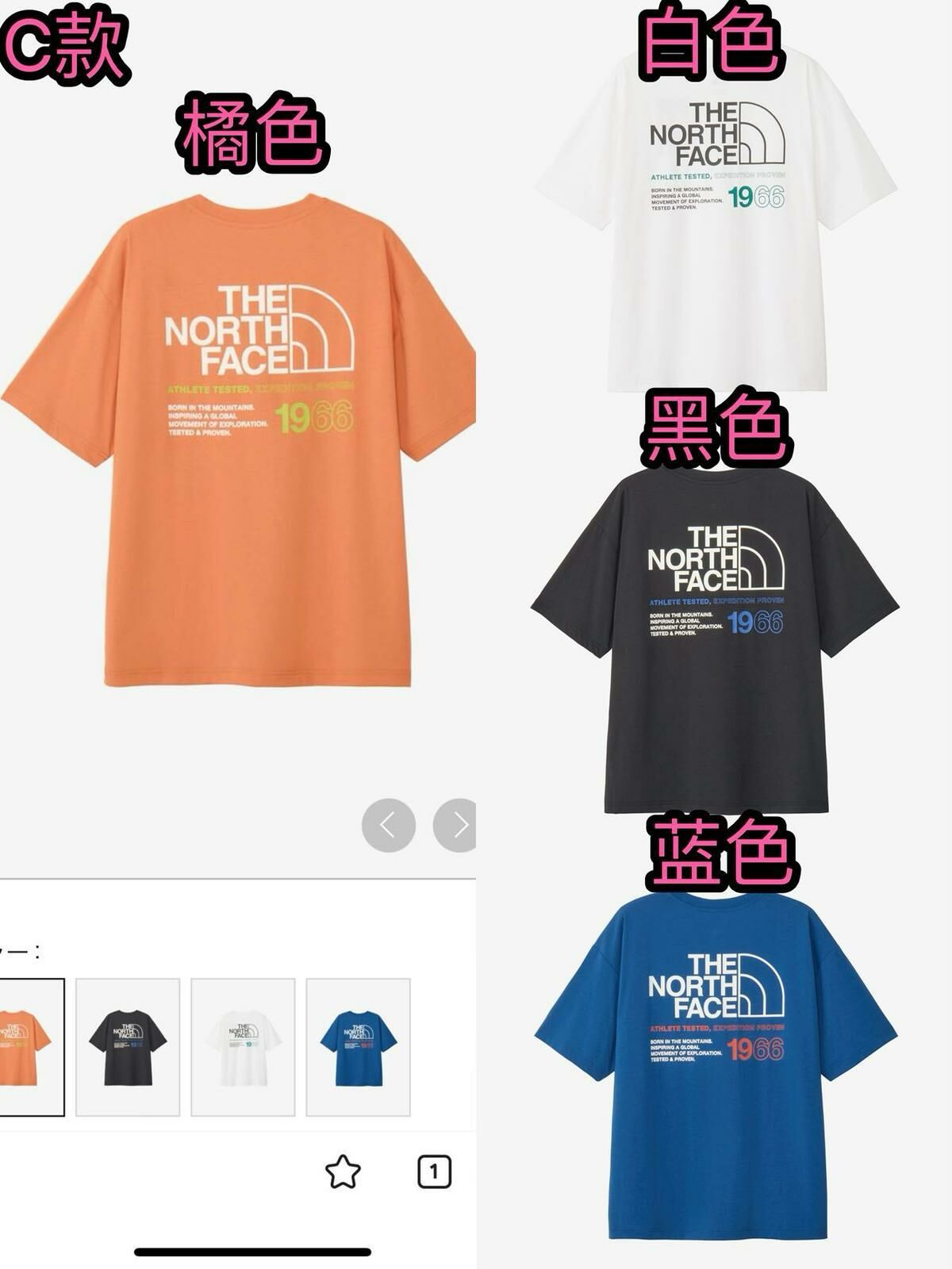 廠單 TNF 25夏款系列 - C款1966系列短袖