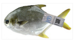 附有「優質養魚場」標籤的產品