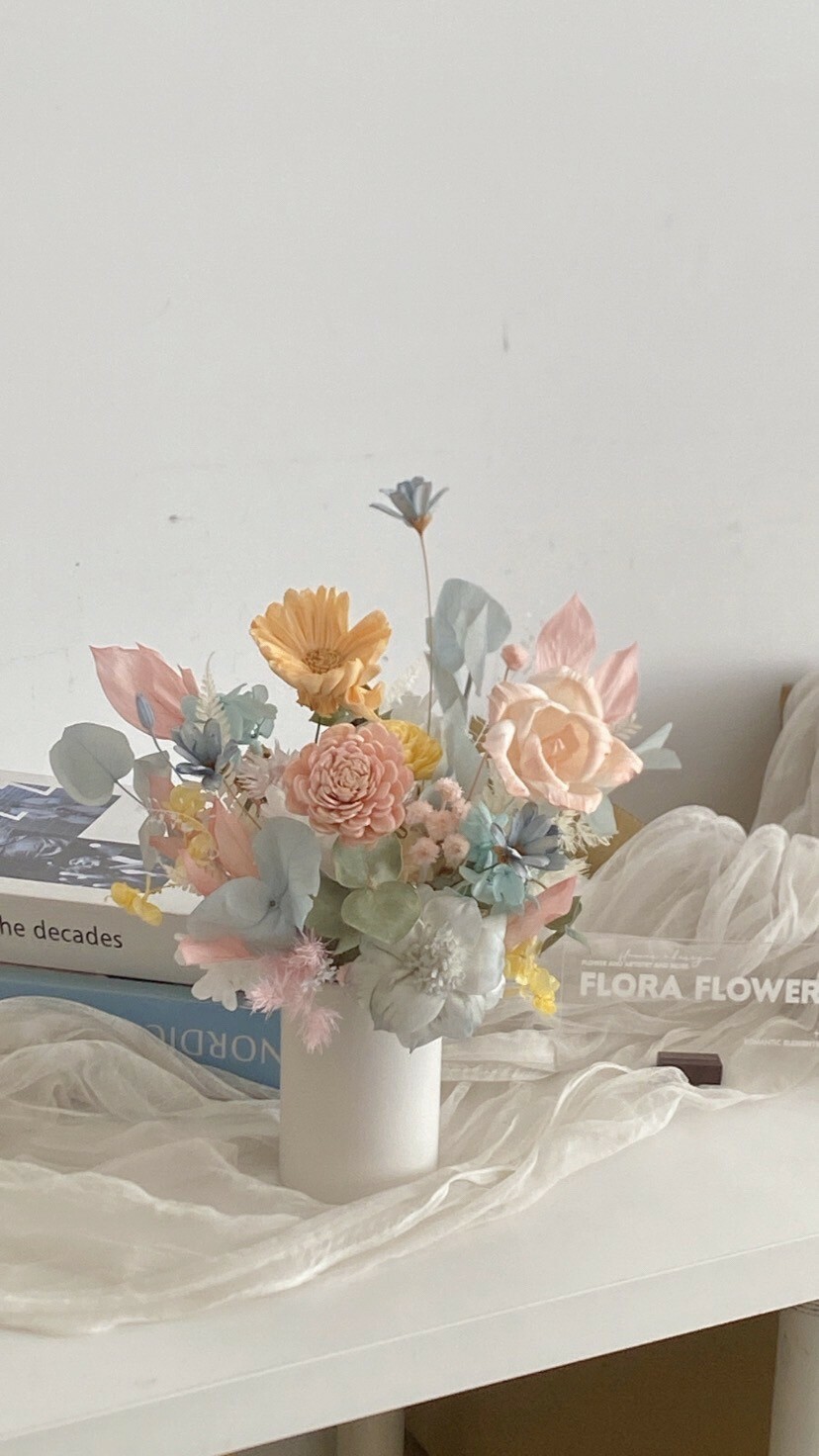 開幕盆花 乾燥索拉盆花-多巴胺色