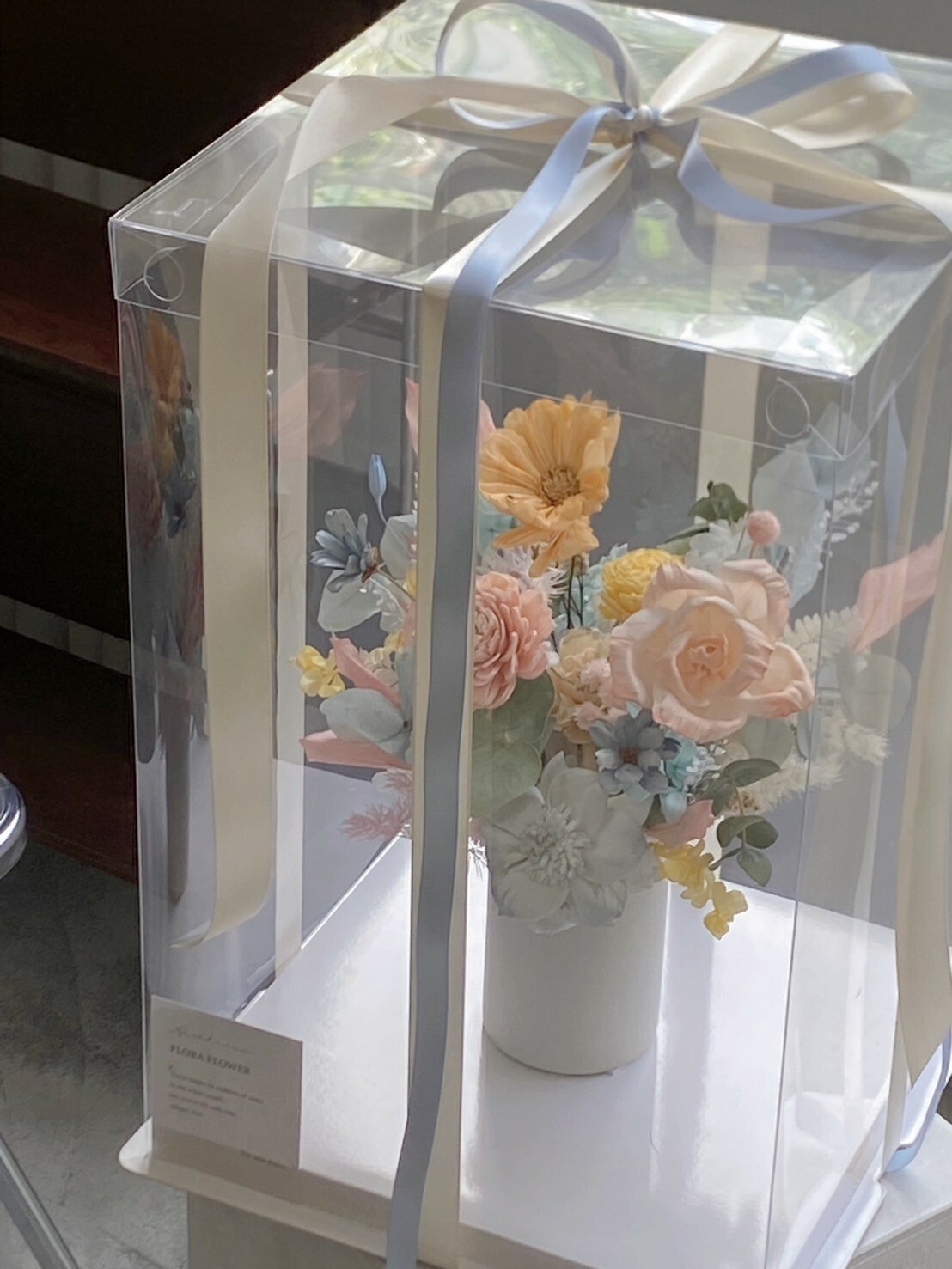 開幕盆花 乾燥索拉盆花-多巴胺色