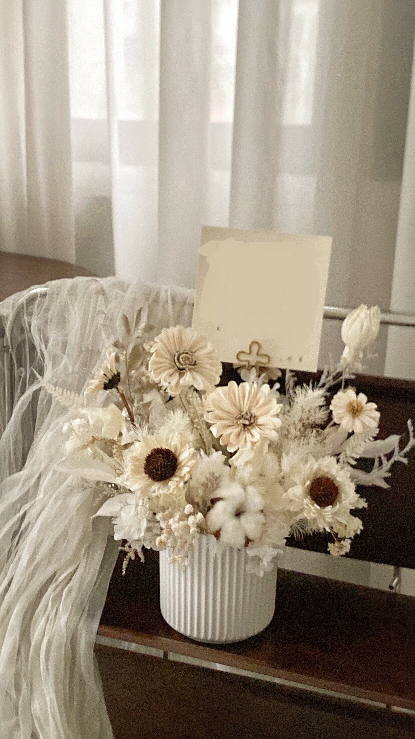 開幕盆花 乾燥索拉盆花-白茶色