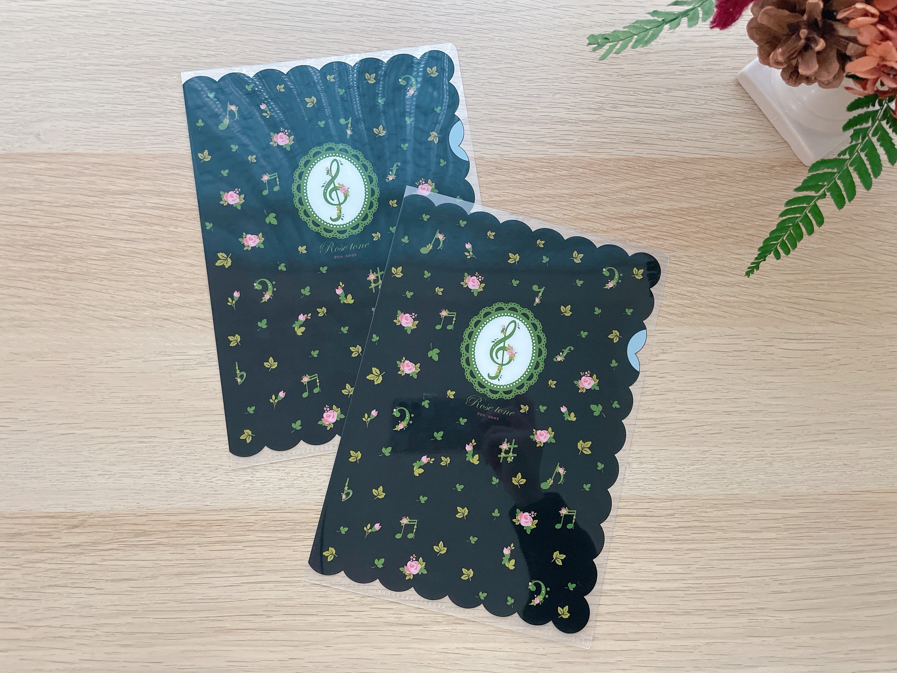 A5透明資料夾 - 音樂與玫瑰(黑色)