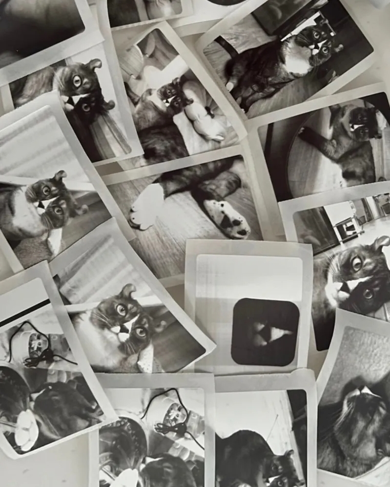 <現貨>  Kodak 柯達 MEMO SHOT ERA MS100 拍立得 MemoShotEra 相機 熱感應 標籤貼 復古 黑白 黃白 柯達白 柯達黃