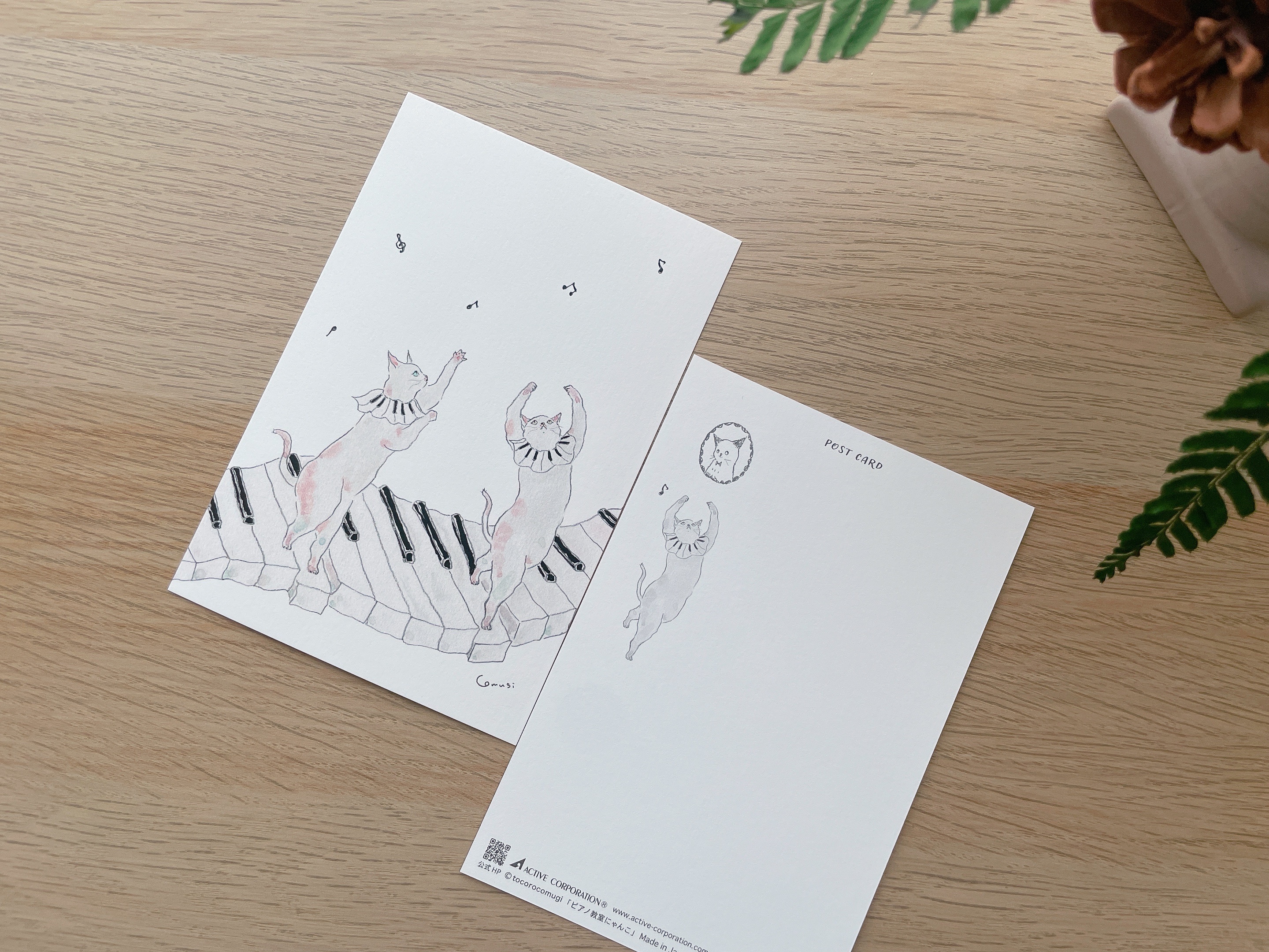 トコロコムギ 明信片 - 音樂