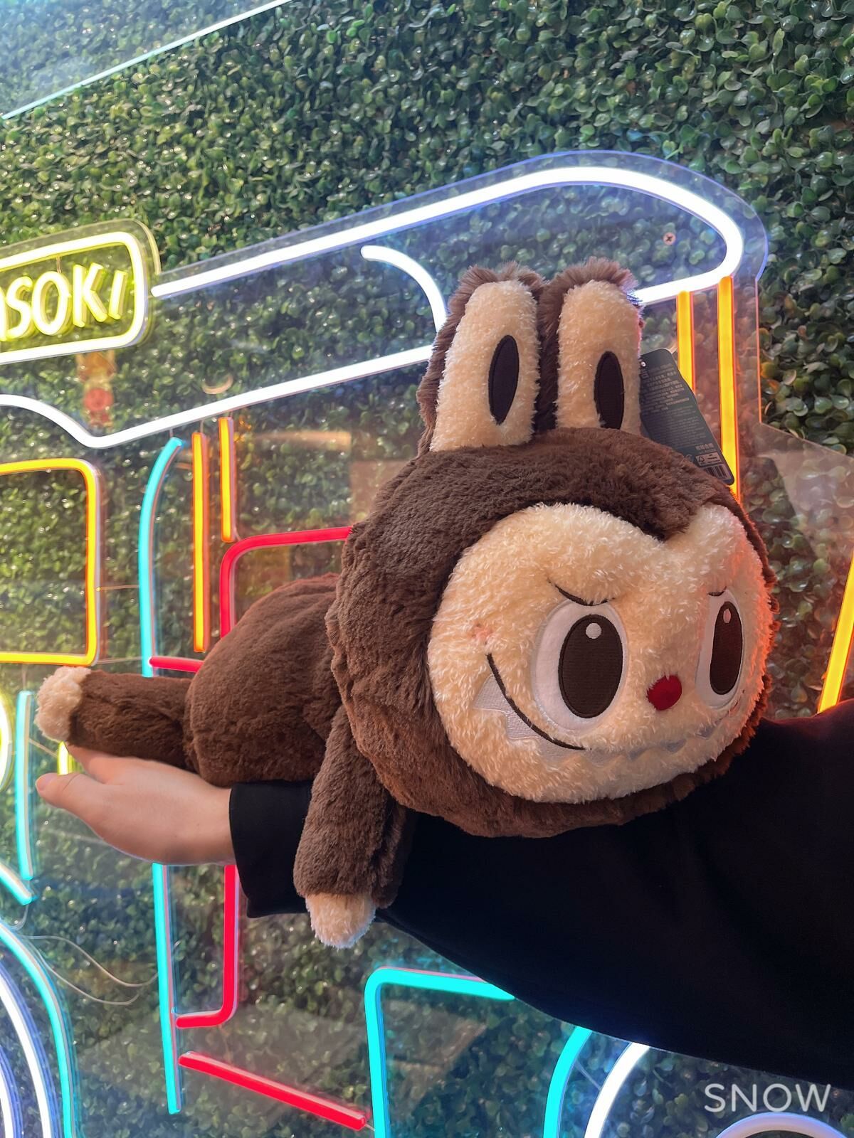 labubu 樂園趴趴公仔