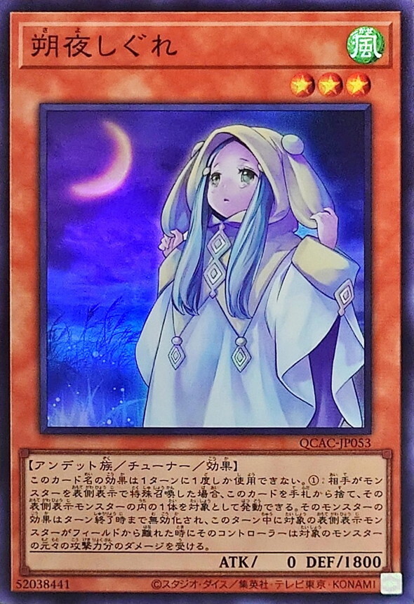 QCAC-JP053 朔夜しぐれ