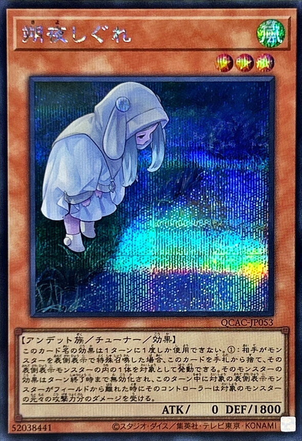 QCAC-JP053 [新]朔夜しぐれ