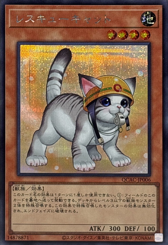QCAC-JP006 [新]レスキューキャット(