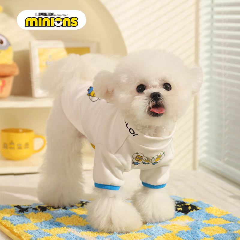 宠物衣服 小黄人主题 白T-SHIRT