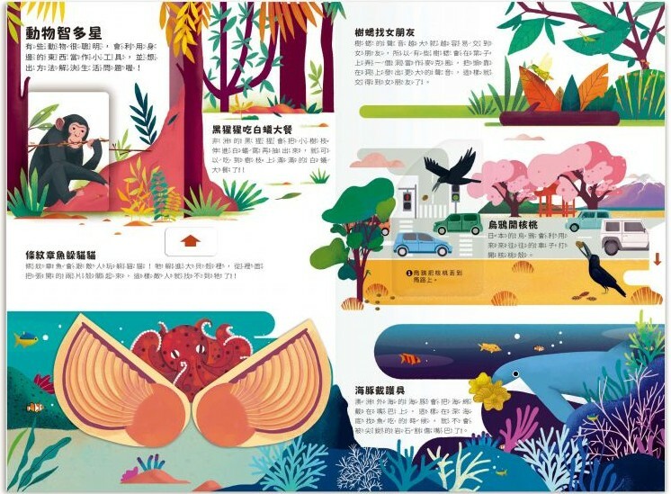 小小知識家動手大發現：動物AMAZING！