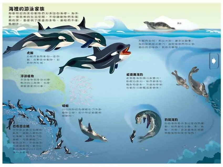 小小知識家動手大發現：冰雪動物AMAZING！