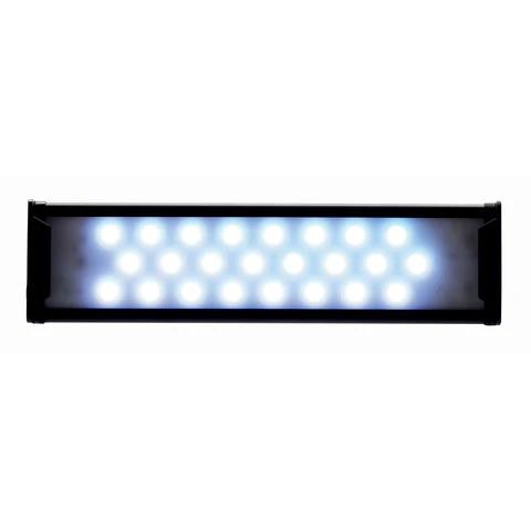 特價] DOOA Paluda Light