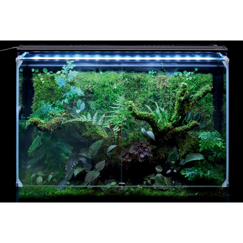 original.png?1740361670