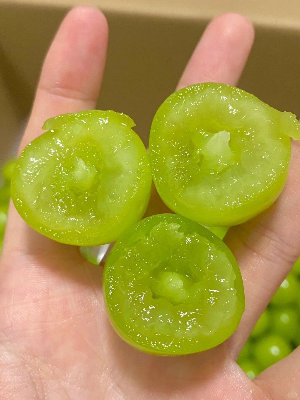 業務用 中國香印 [1箱 ]