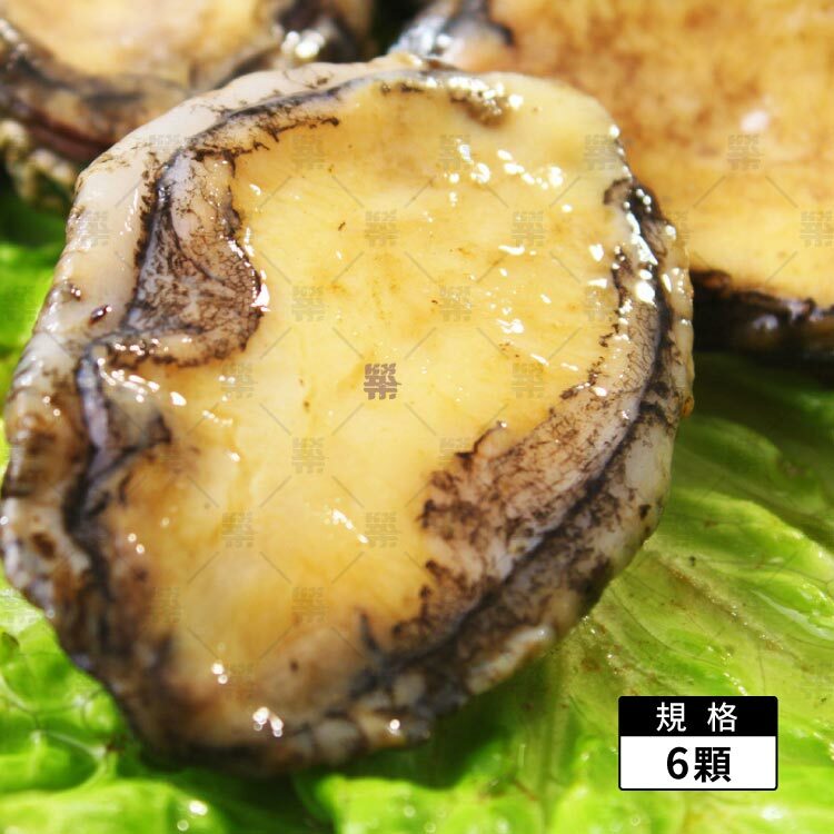熟凍鮑魚清肉6顆裝