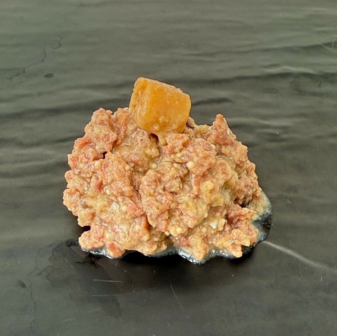 PRIME肉燥系列-健康主食罐