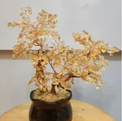 [S] GEMZ & CO HLCT NATURAL DU JUAN WOOD WISDOM (ZHI) TREE POT, HIGH END CITRINE, W274 (W274)