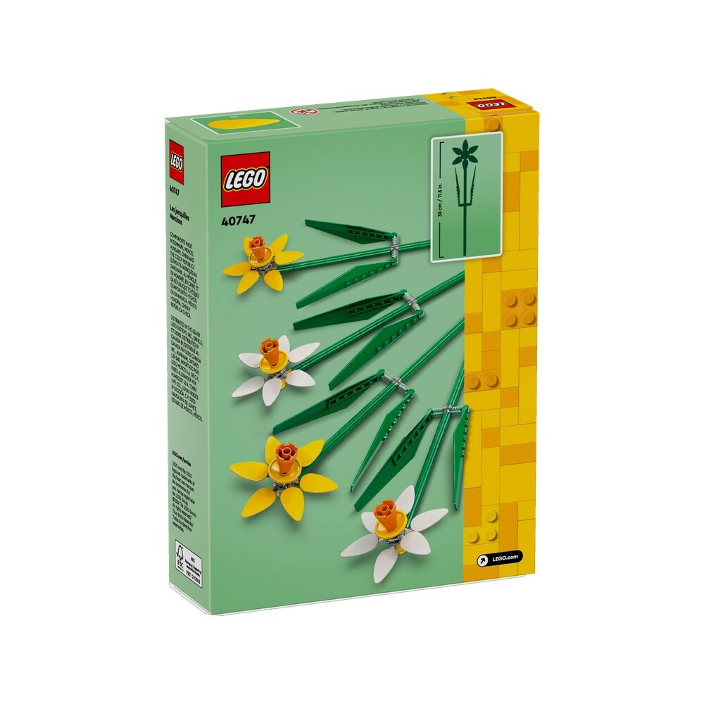 40747 - 水仙花