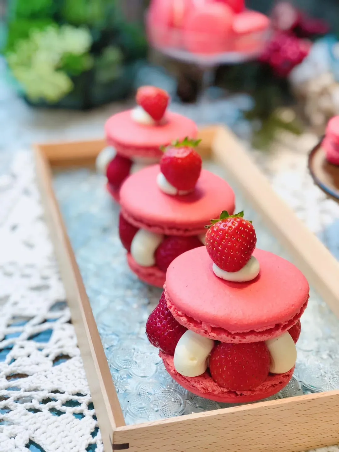 林庚辰 ：草莓甜點趴(第3班)