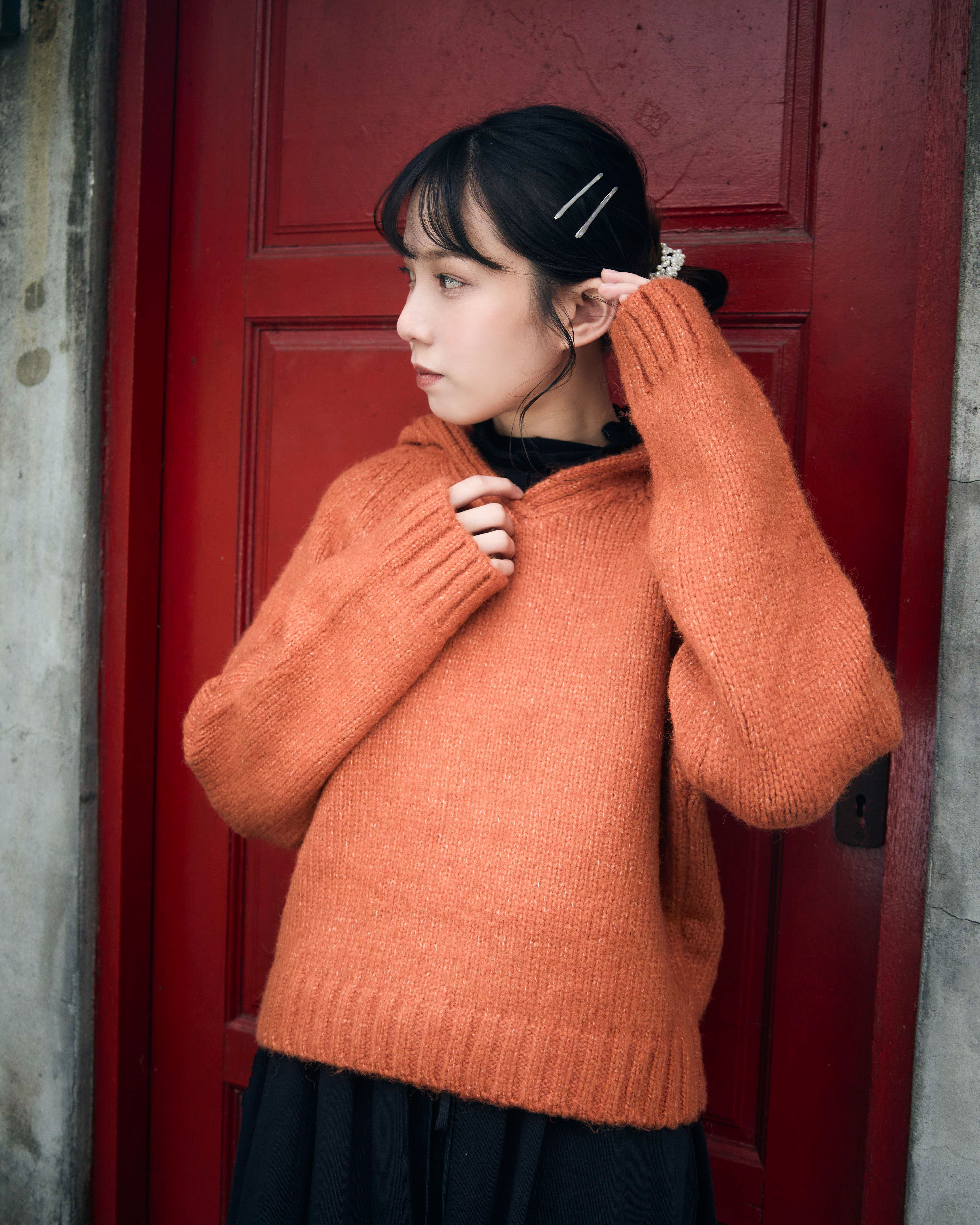 重磅有帽套頭毛衣（ wool&alpaca ）