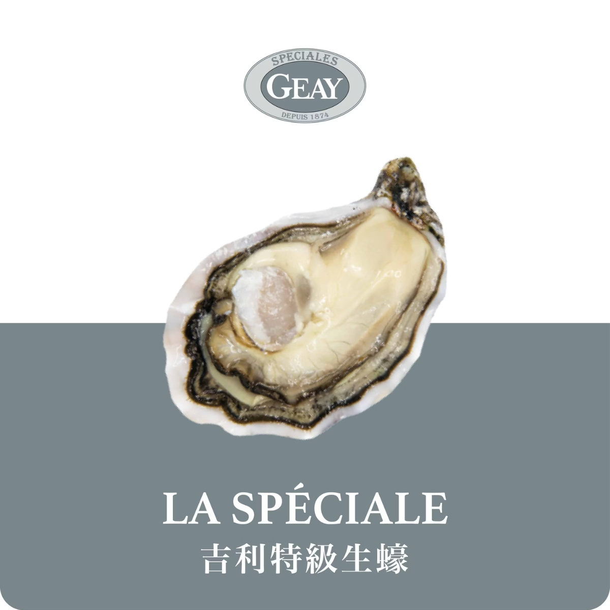 Oysters 【GEAY 吉利】La Speciale N2特級生蠔 -12顆