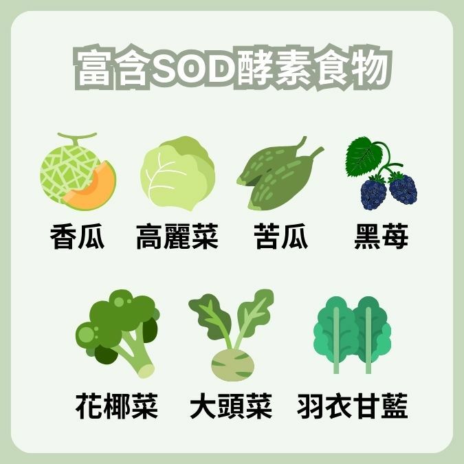 SOD從哪裡補充