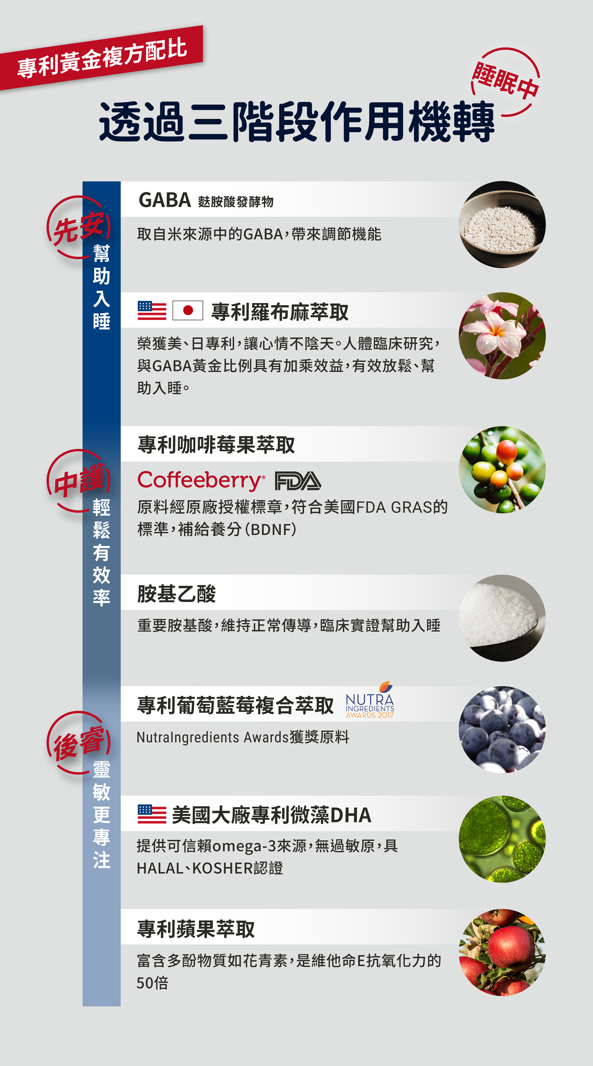 GA黃金甲GABA睿智膏三階段作用機轉