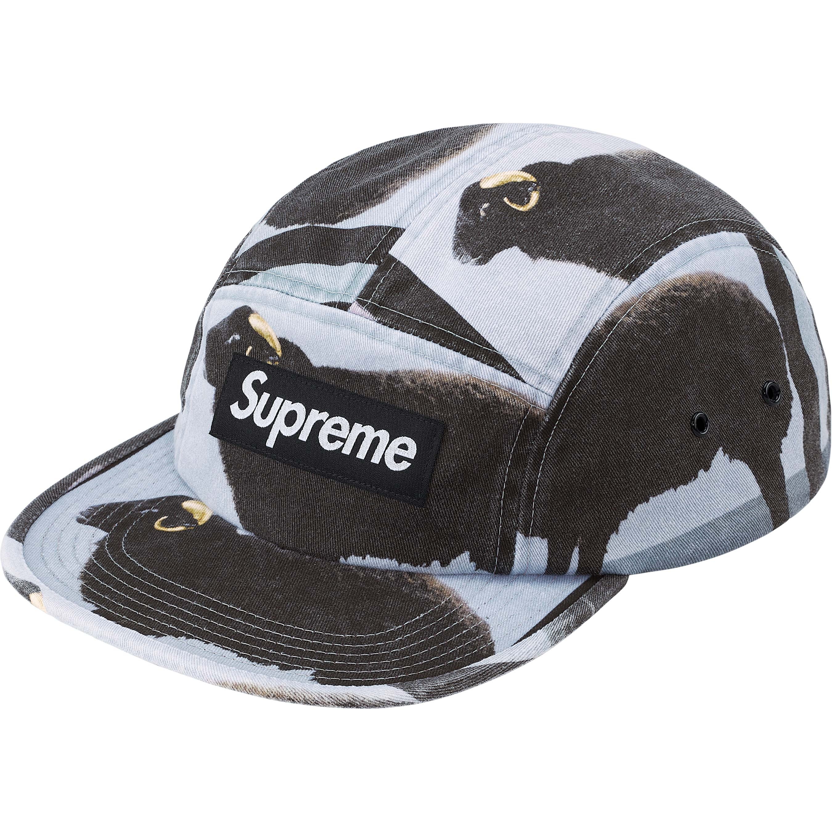 SUPREME SS25 DAMIEN HIRST CAMP CAP 帽