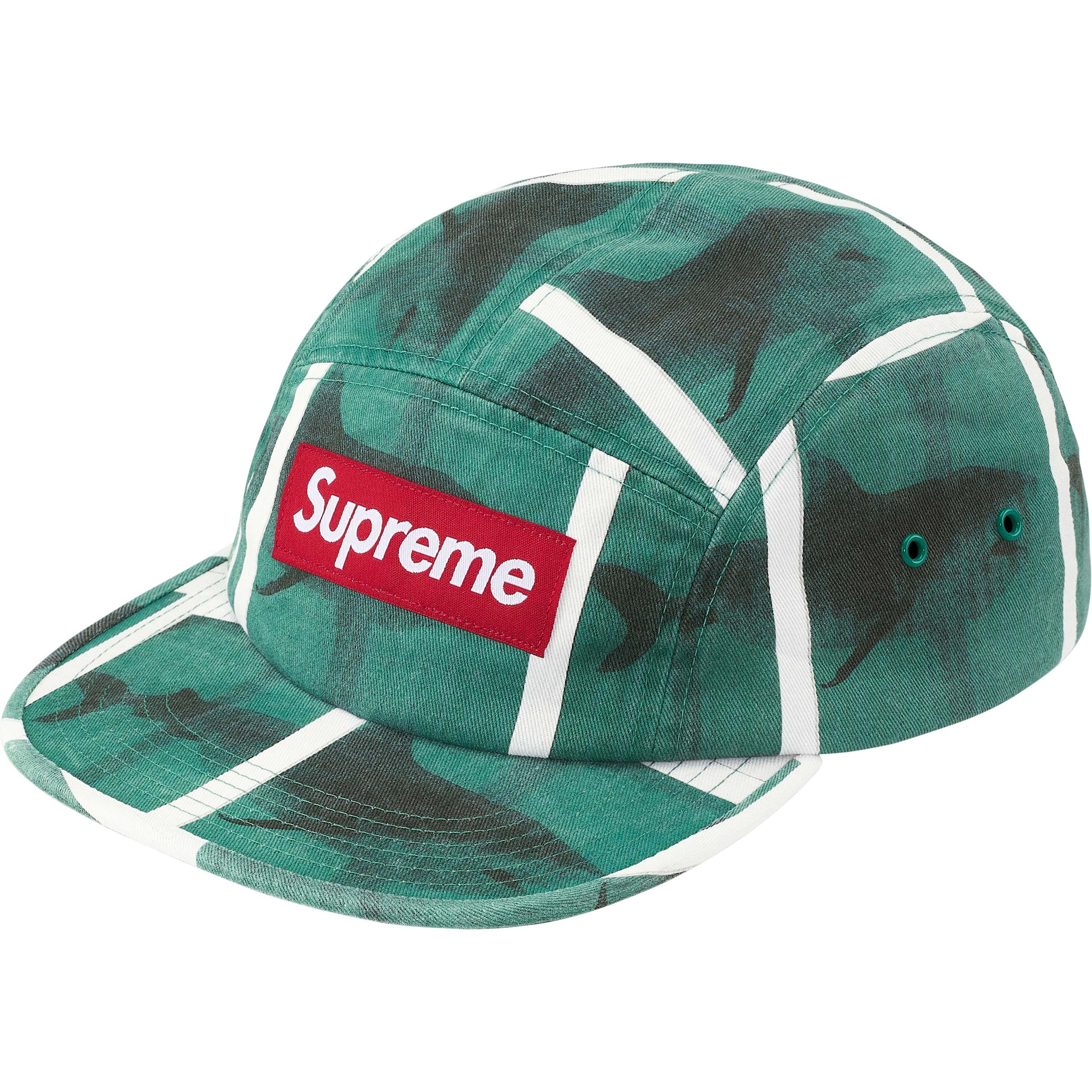 SUPREME SS25 DAMIEN HIRST CAMP CAP 帽