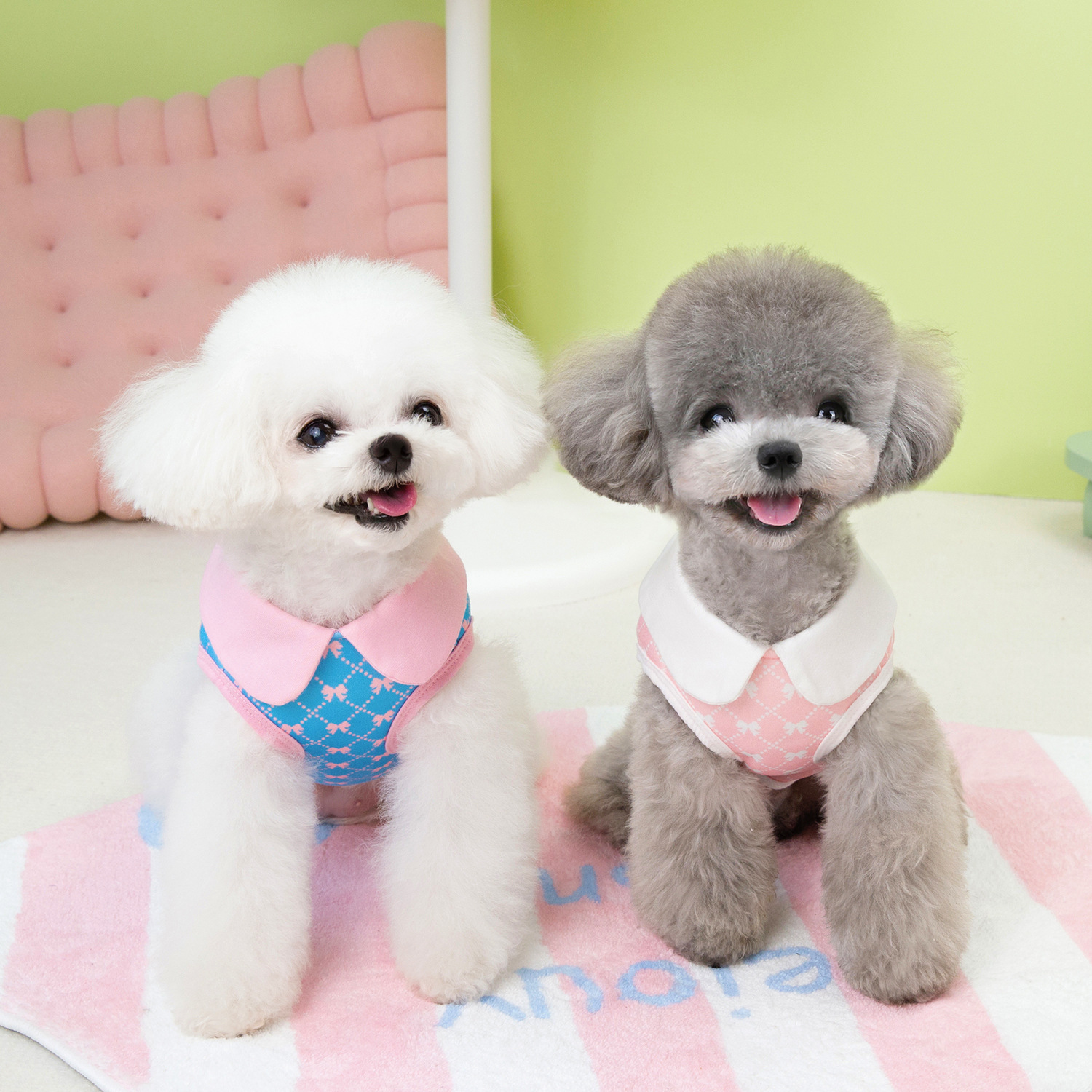 宠物衣服 领结带扣 2脚衣服