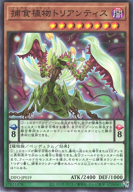 DIFO-JP019  捕食植物トリアンティス (捕食植物 假水仙螳螂)