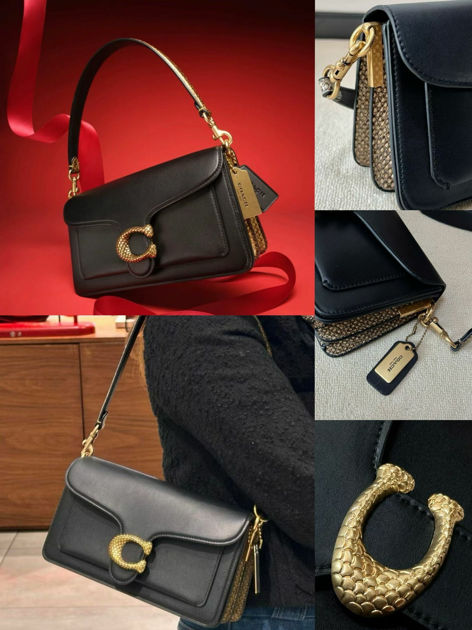 COACH 蛇年限定tabby包