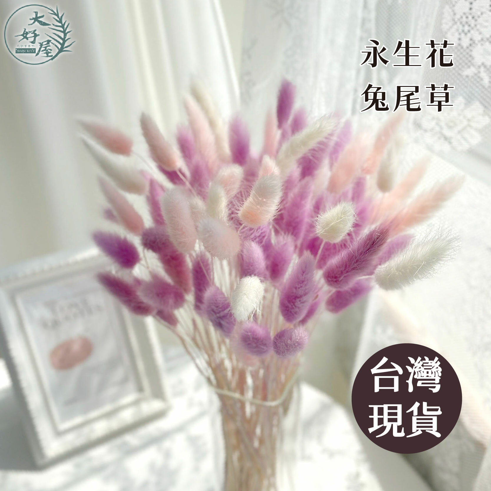 永生兔尾草【大】