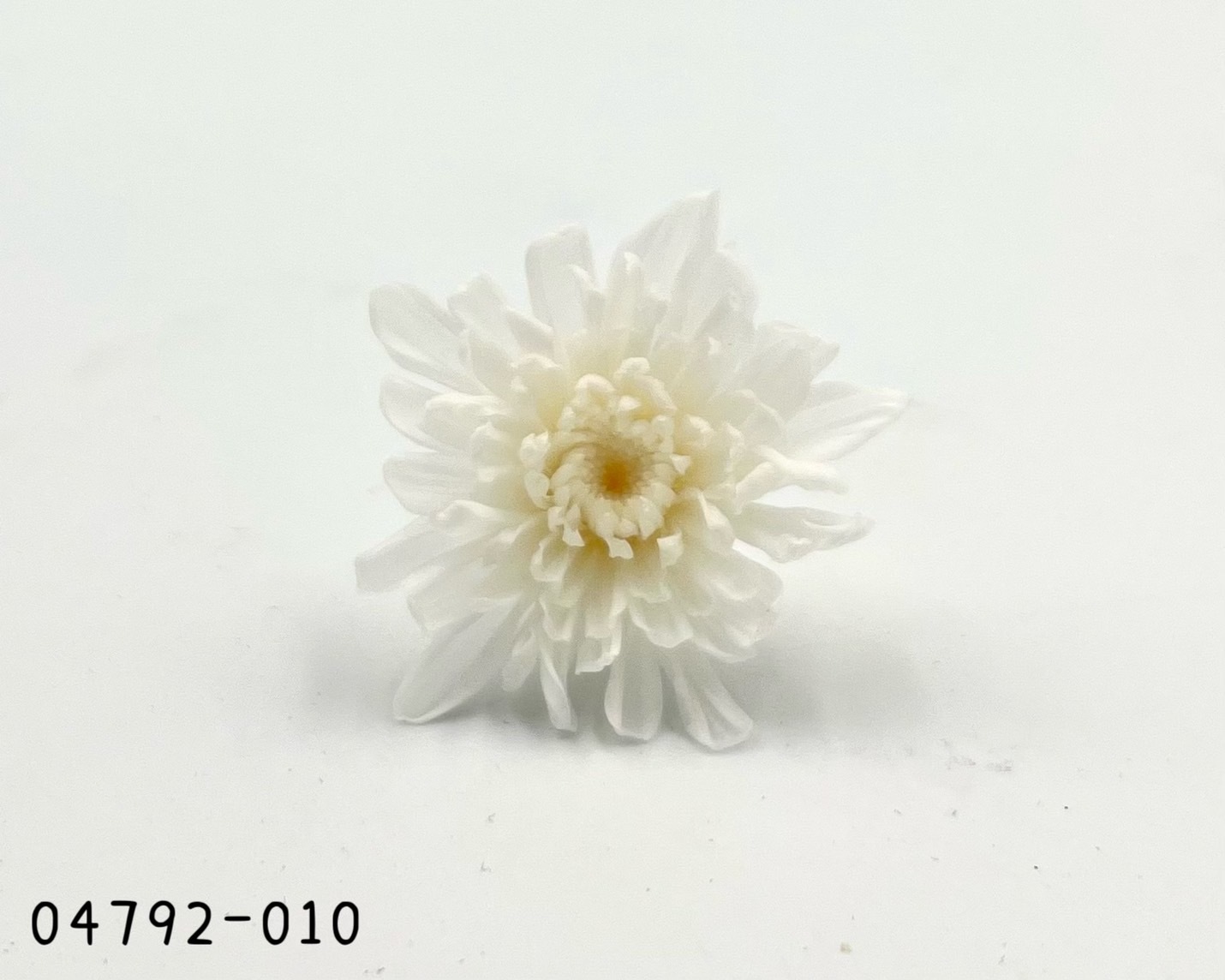 日本不凋菊花(9朵/盒) 04792-010