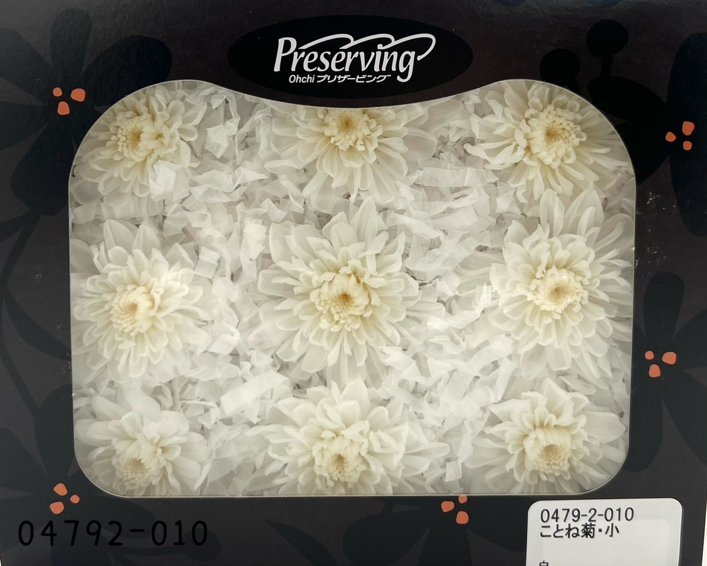 日本不凋菊花(9朵/盒) 04792-010