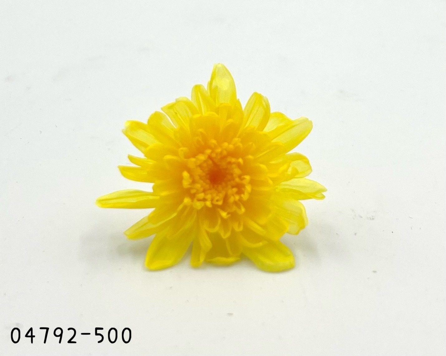 日本不凋菊花(9朵/盒) 04792-500