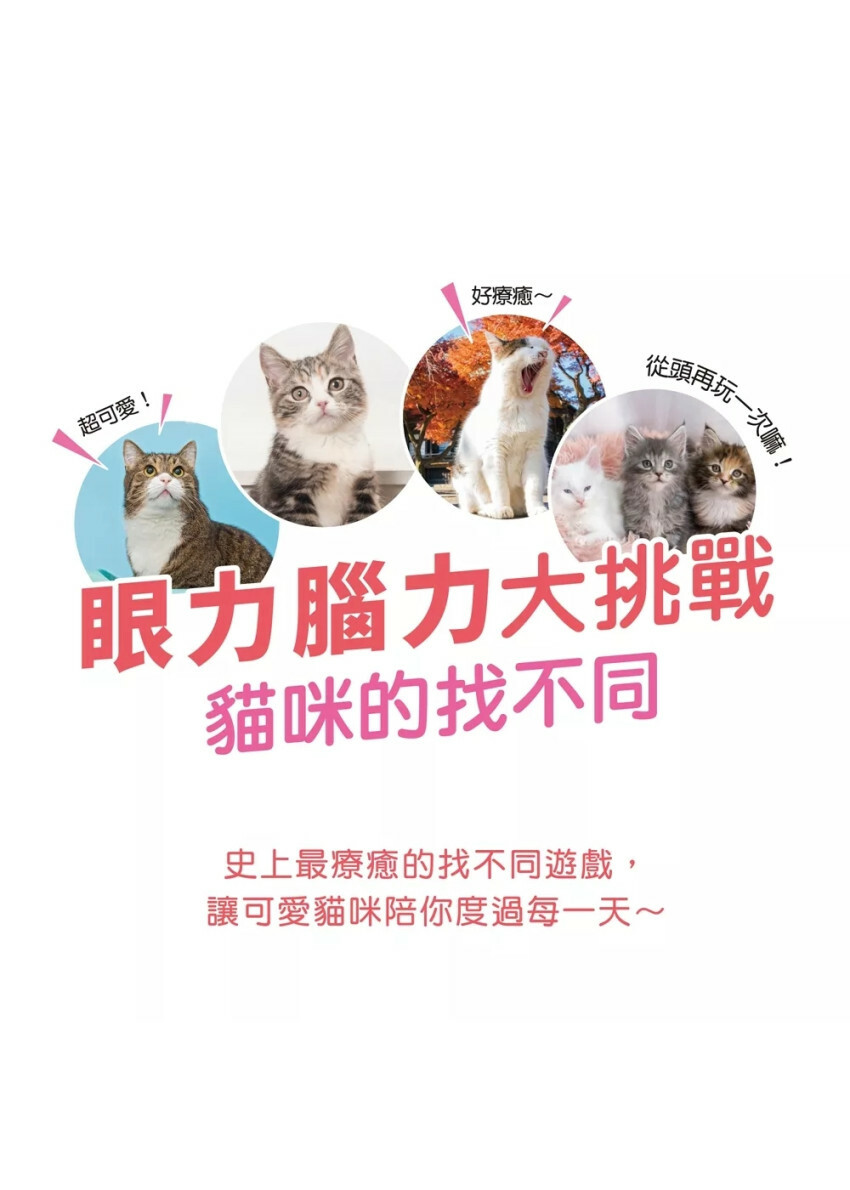 眼力腦力大挑戰：貓咪的找不同