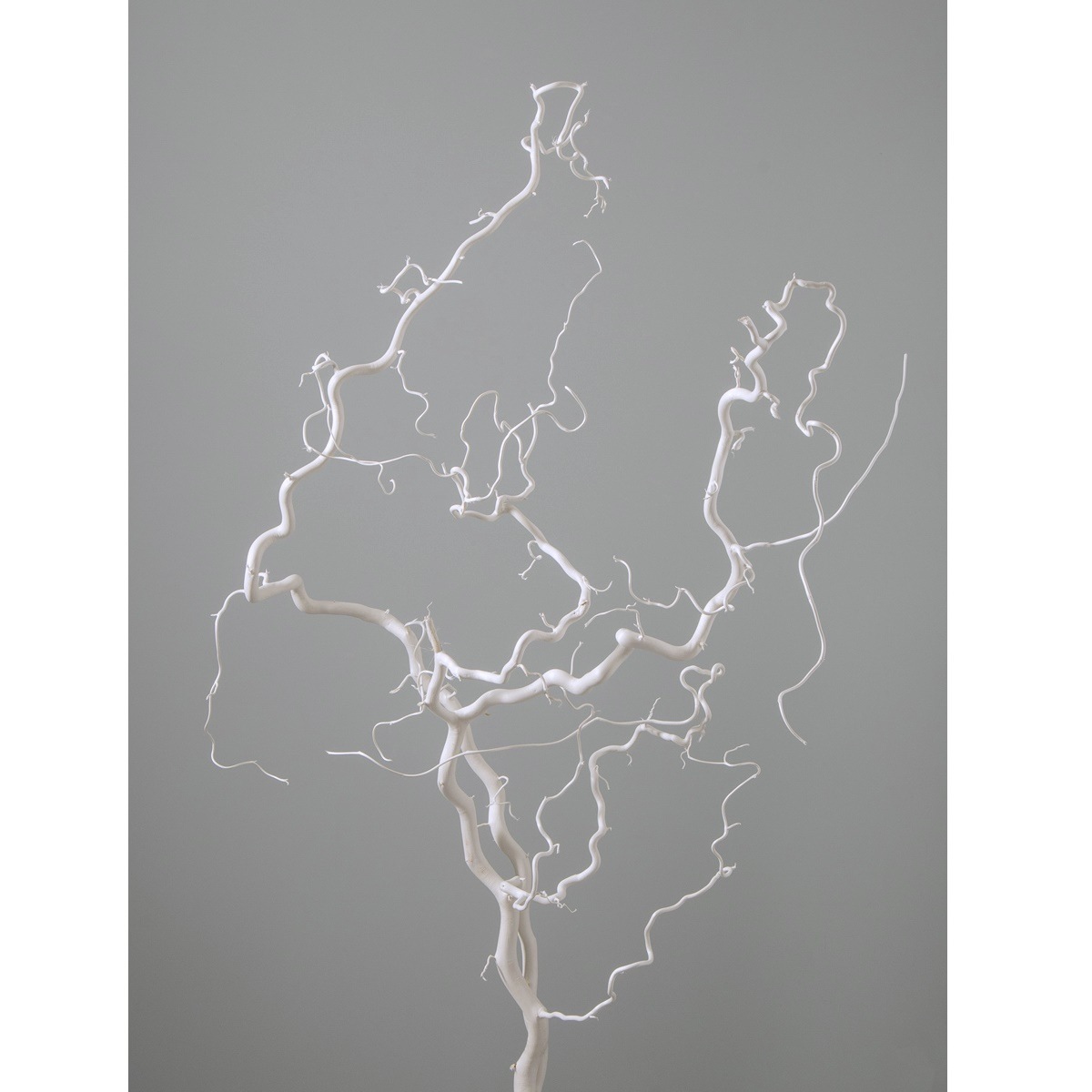 (限量)日本榛果樹枝 52730-011