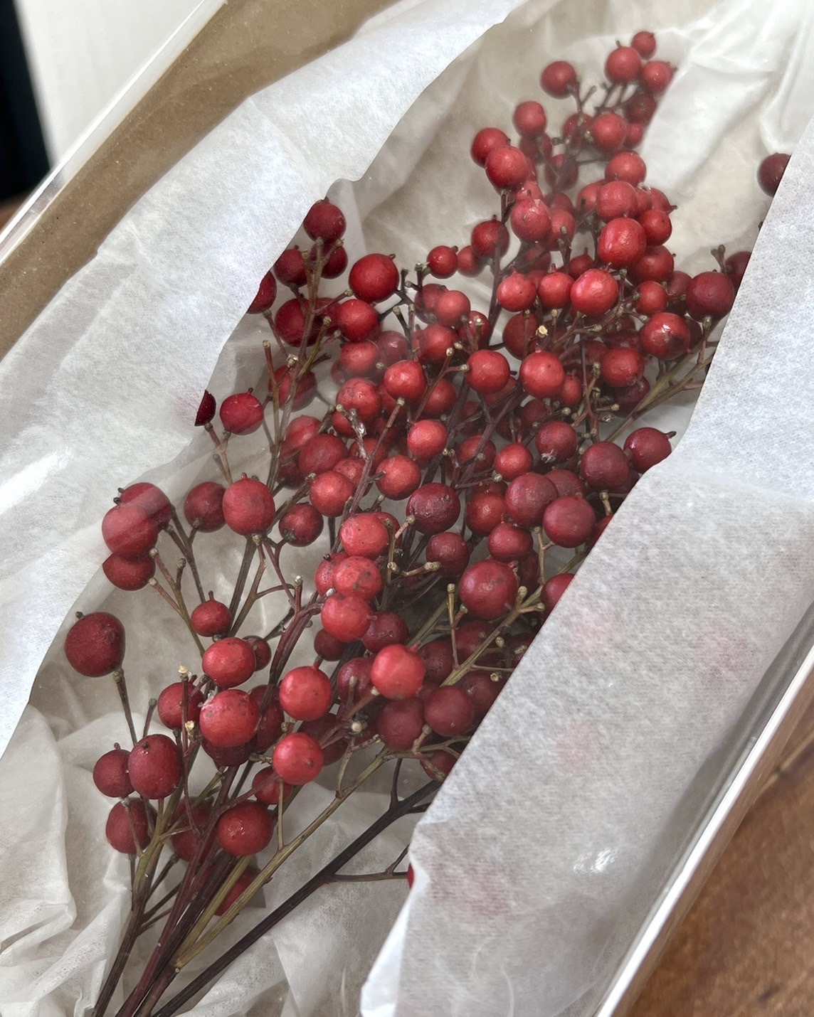 日本乾燥南天竺果實22580-000