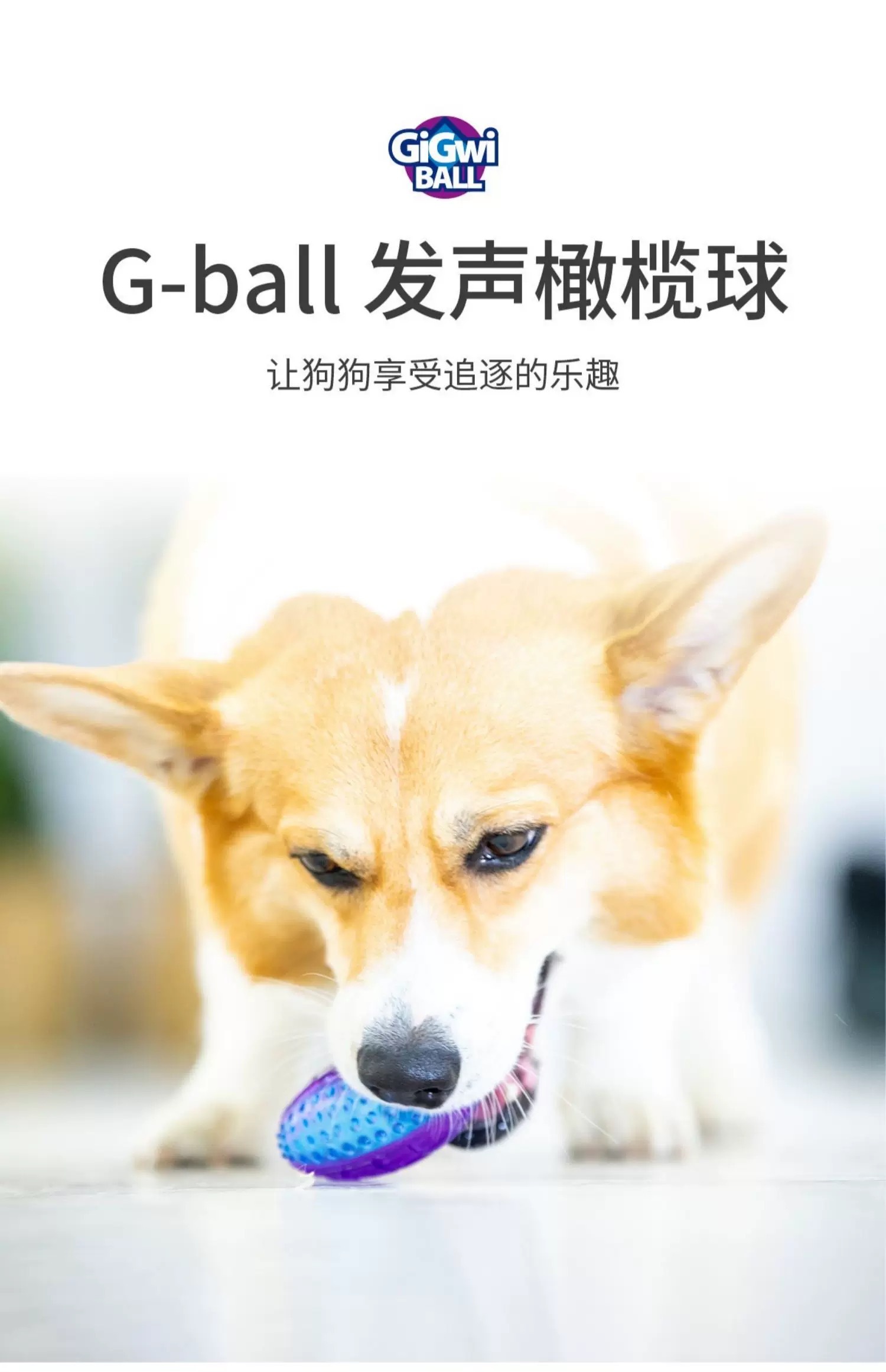 GIGIWI贵为 狗狗解闷玩具发声耐咬橄榄球