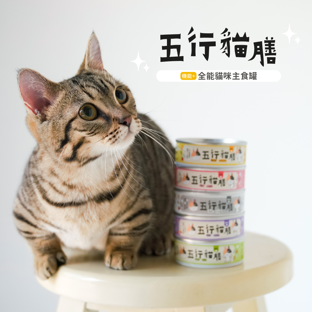 【五行貓膳】白罐 ｜ 免疫+呼吸道